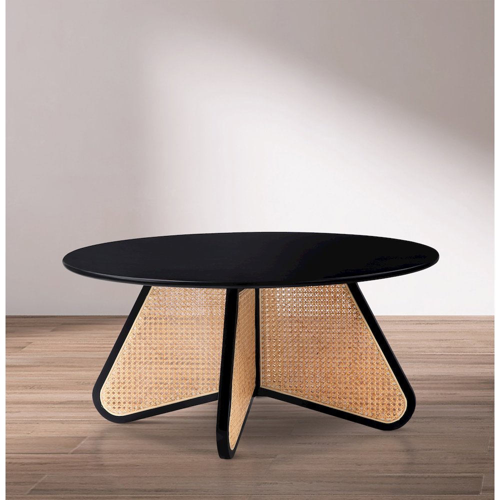 Butterfly Coffee Table