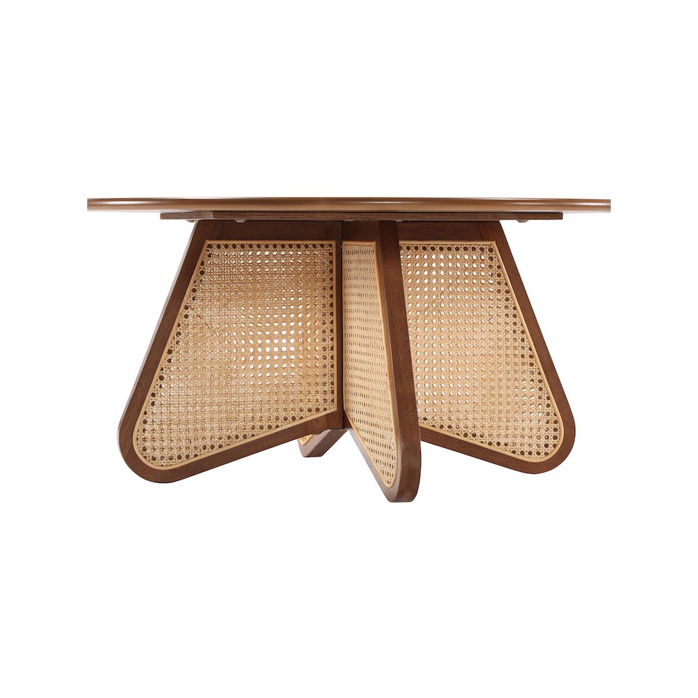 Butterfly Coffee Table