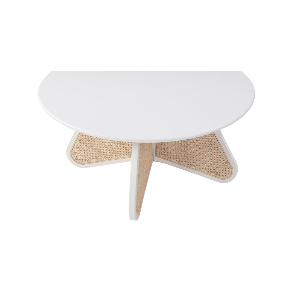 Butterfly Coffee Table