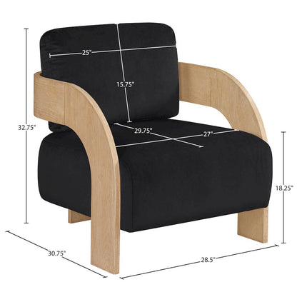 Cedra Black Velvet Performance Fabric Upholstered Accent Chair