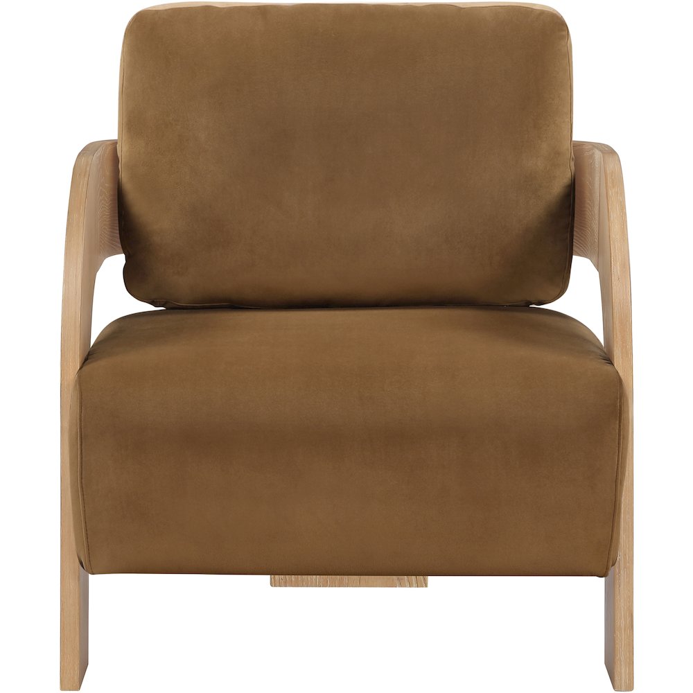 Cedra Saddle Velvet Performance Fabric Upholstered Accent Chair
