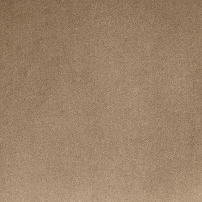 Emery Beige Velvet Loveseat