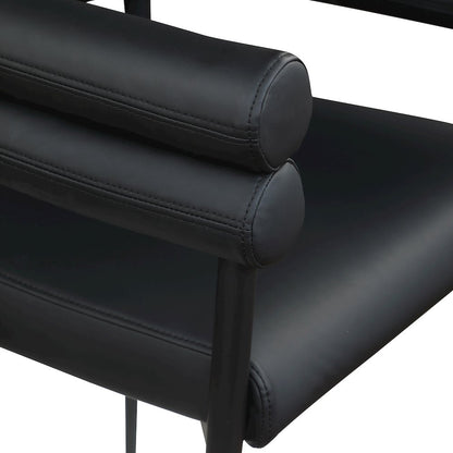 Lavina Black Vegan Leather Dining Chair, Set of 2