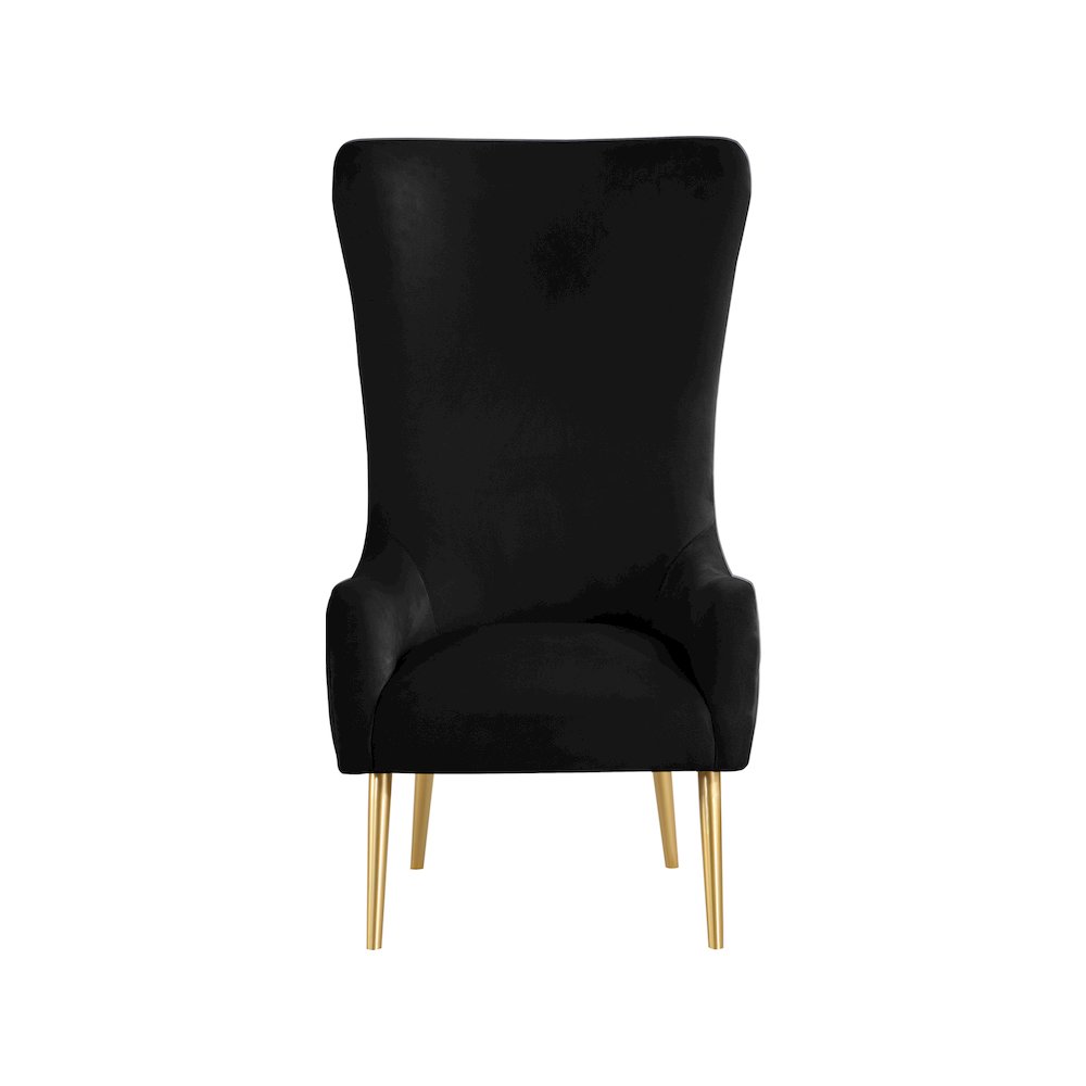 Alexander Black Velvet Accent Chair