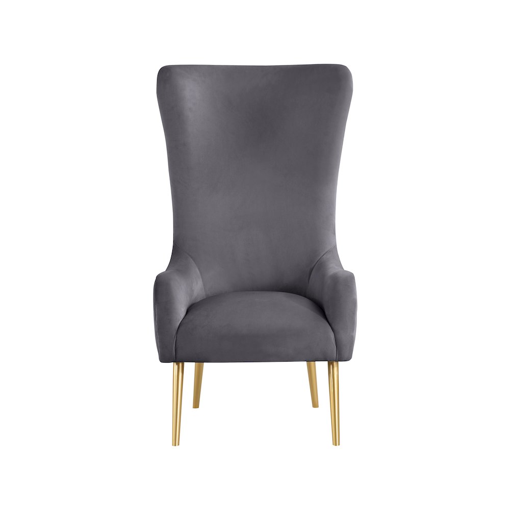Alexander Grey Velvet Accent Chair