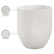 Florique Cream Indoor / Outdoor Concrete Planter