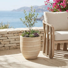 Florique Travertine Indoor / Outdoor Concrete Planter
