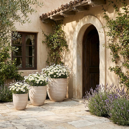 Florique Travertine Indoor / Outdoor Concrete Planter