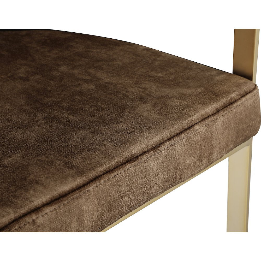 Marcello Brown Velvet Dining Chair, Set of 2