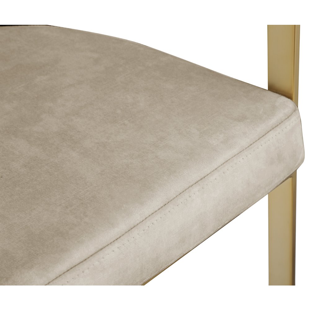 Marcello Stone Colored Velvet Dining Chair, Set of 2