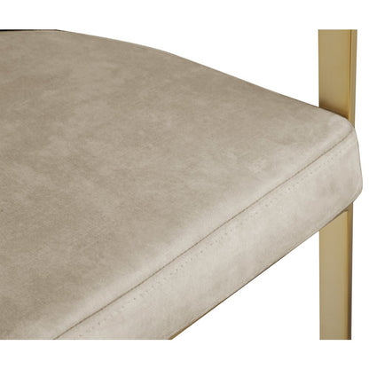 Marcello Stone Colored Velvet Dining Chair, Set of 2