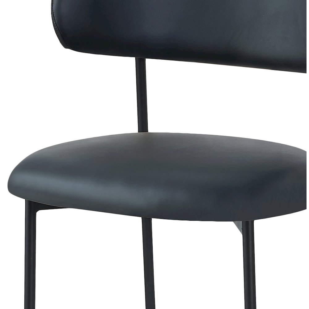 Lupita Black Vegan Leather Dining Chair, Set of 2