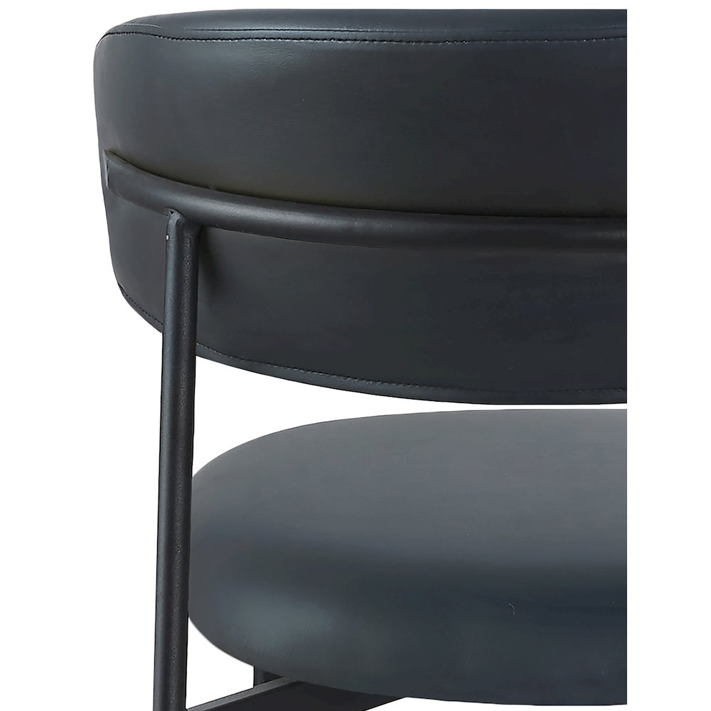 Lupita Black Vegan Leather Dining Chair, Set of 2