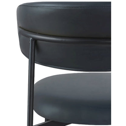 Lupita Black Vegan Leather Dining Chair, Set of 2
