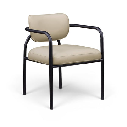 Serava Beige Vegan Leather Upholstered Dining Chair, Set of 2