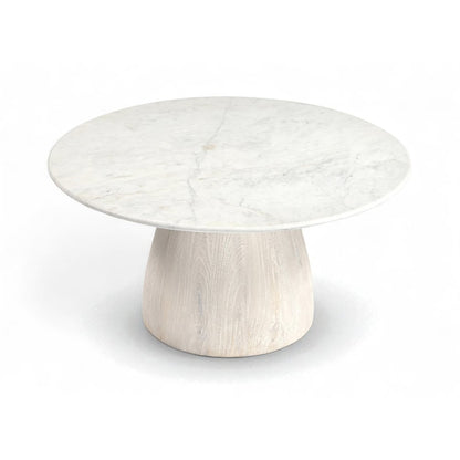 Liona White Marble And Mango Wood Coffee Table