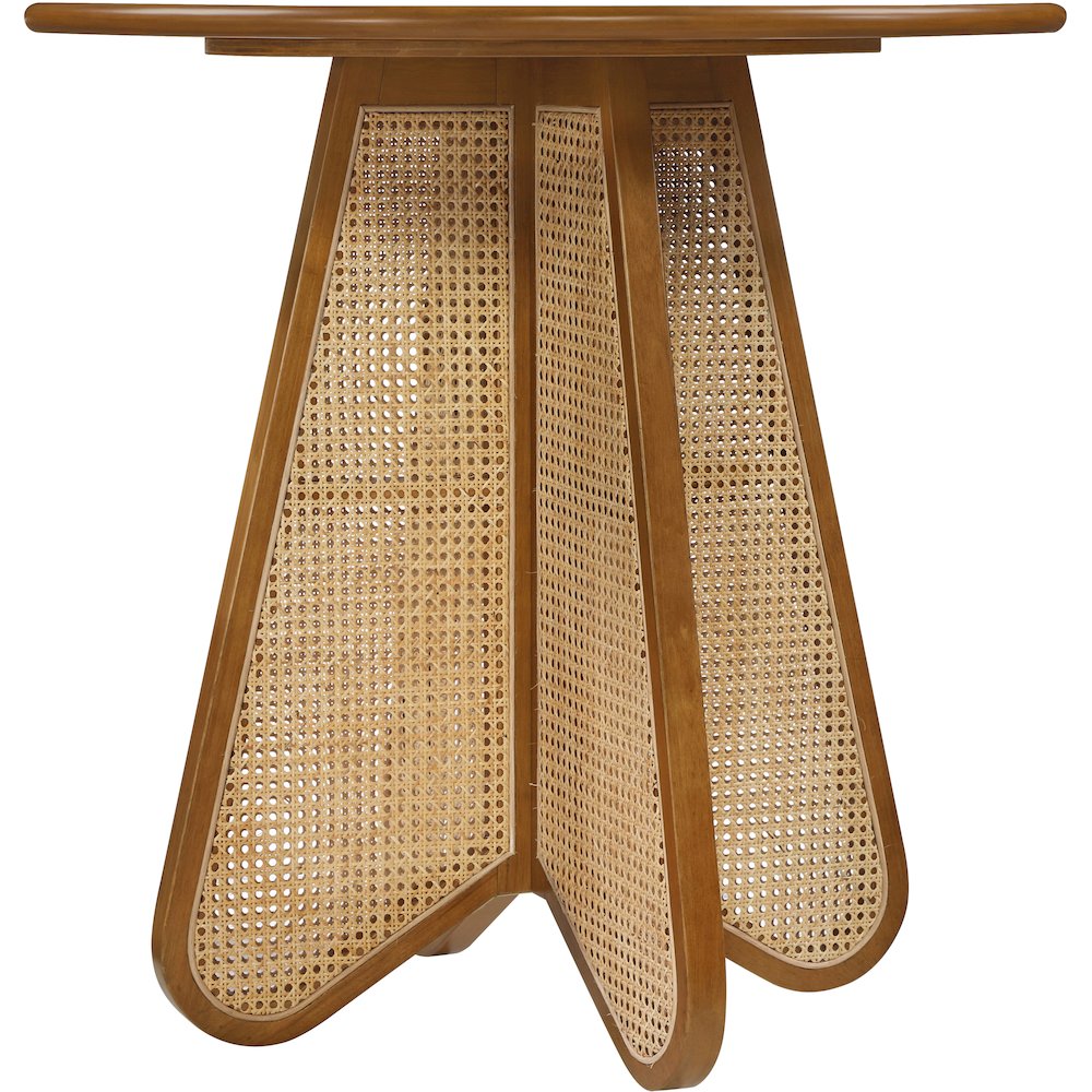 Butterfly 36" Brown / Natural Solid Wood And Natural Cane Counter Height Table