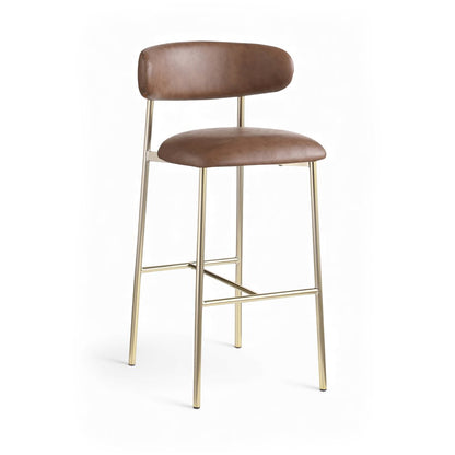 Lupita Brown Vegan Leather Upholstered Bar Stool, Set of 2