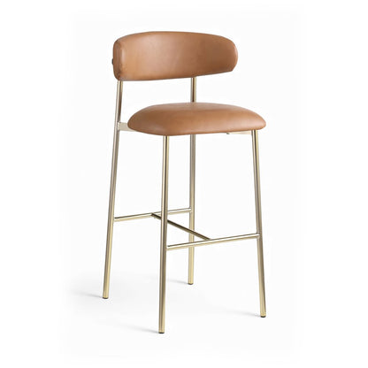 Lupita Cognac Vegan Leather Upholstered Bar Stool, Set of 2