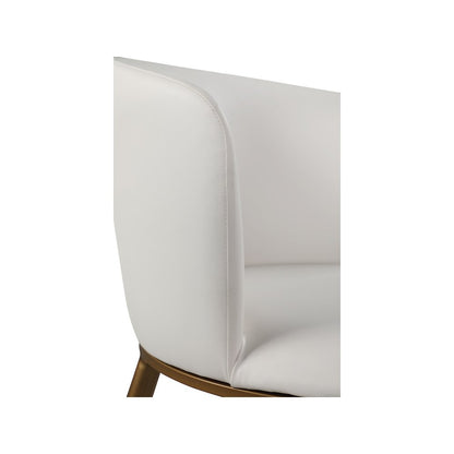 Skylar White Vegan Leather Dining Chair, Set of 2