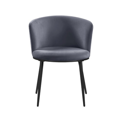Skylar Grey Velvet Dining Chair, Set of 2