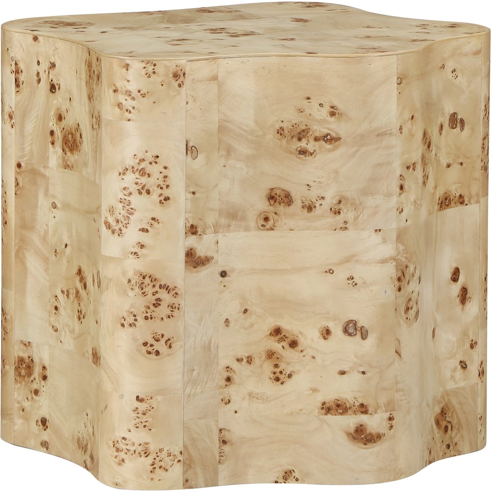 Zaire Natural Burl Wood End Table