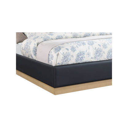 Casa Black Vegan Leather Queen Bed