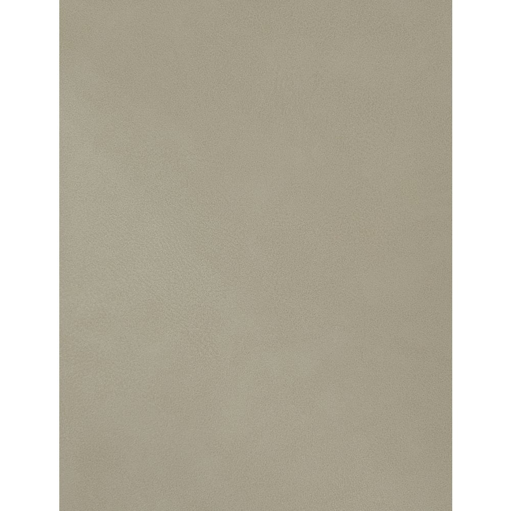 Hudson Beige Vegan Leather Twin Trundle Bed