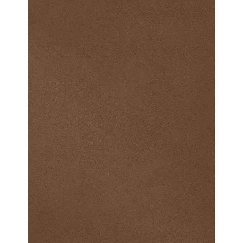 Hudson Cognac Vegan Leather Twin Trundle Bed