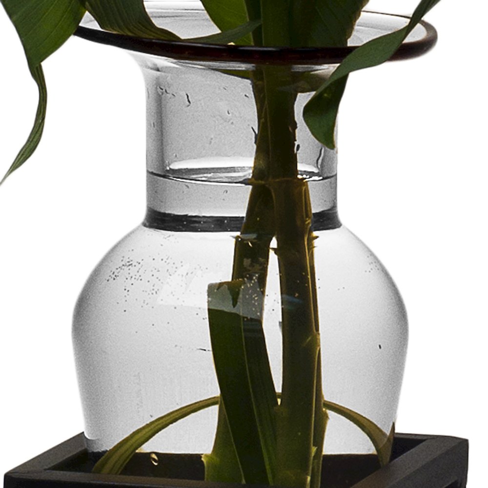 Clear Amphora Vase with Wire Stand