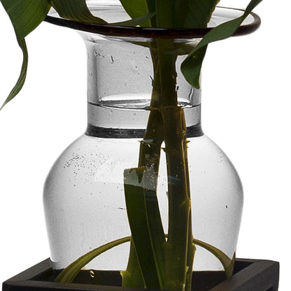 Clear Amphora Vase with Wire Stand