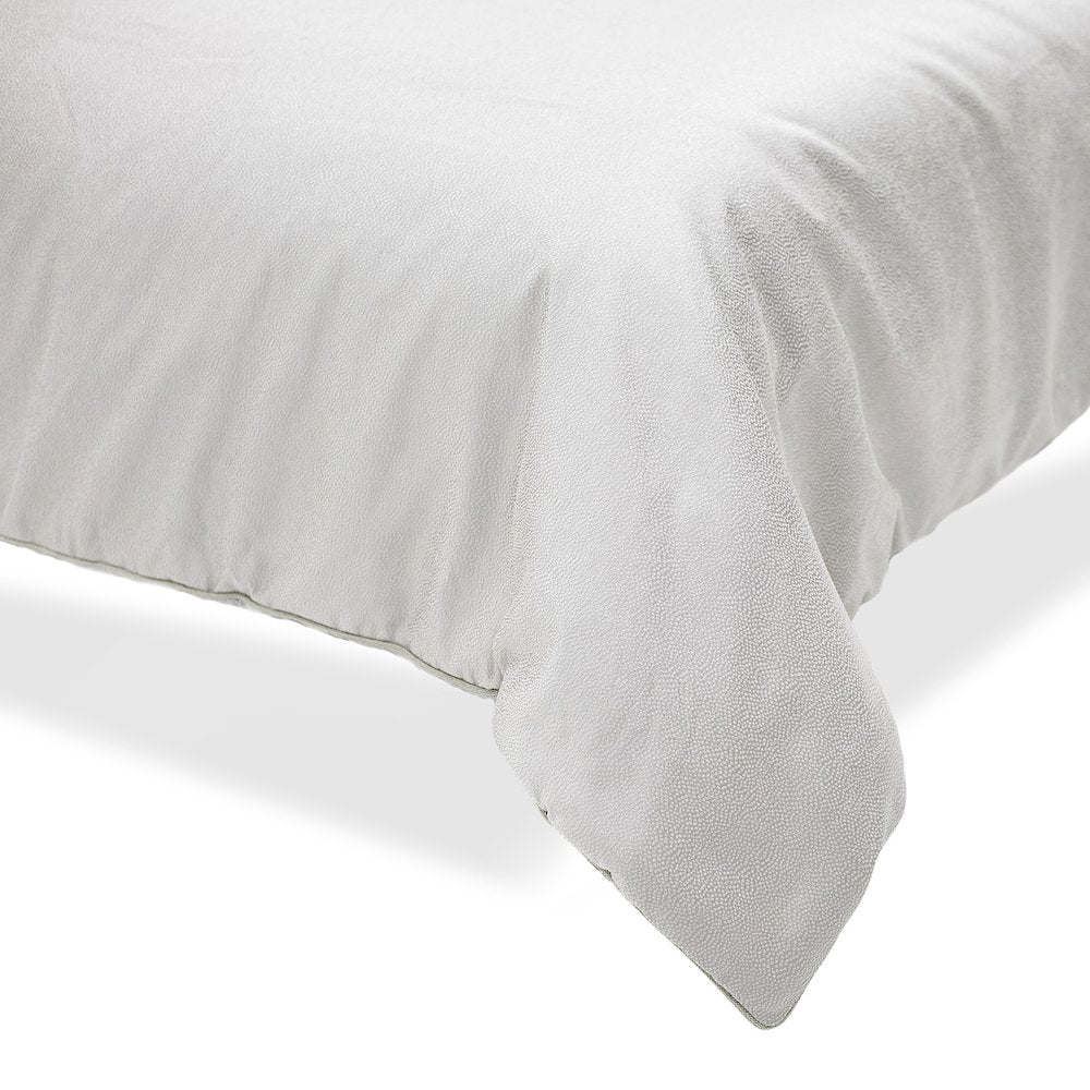 Skylar 9-Piece Queen Comforter Set - Champagne