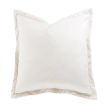 Conner 20" Velvet Throw Pillow, Set of 2 - Cloud