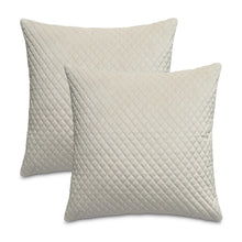 Gemma 21" Velvet Throw Pillow, Set of 2 - Cloud
