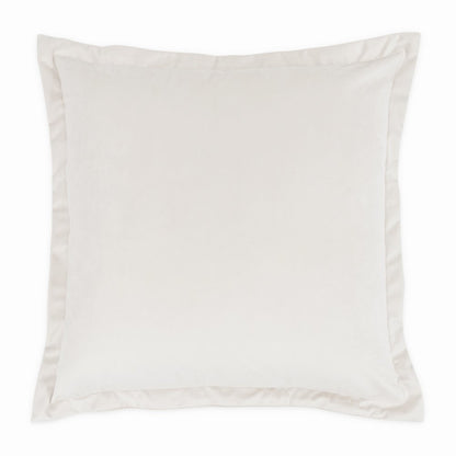 Conner 20" Velvet Throw Pillow, Set of 2 - Cloud
