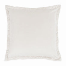 Conner 20" Velvet Throw Pillow, Set of 2 - Cloud