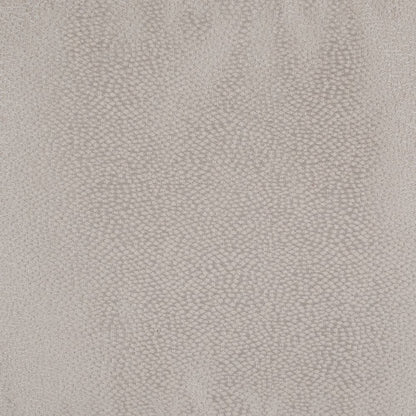 Skylar 10-Piece King Comforter Set - Champagne