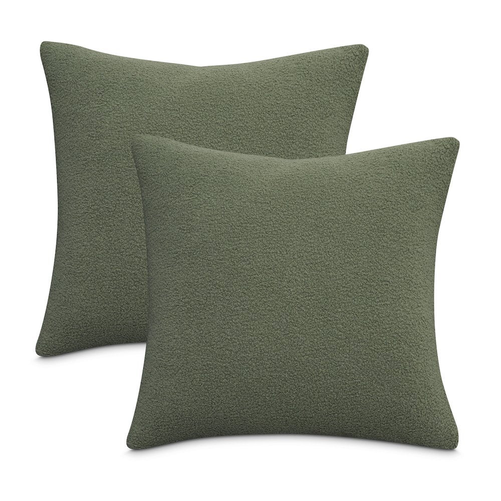 Shepard 21" Square Throw Pillow, Set of 2 - Sage Green