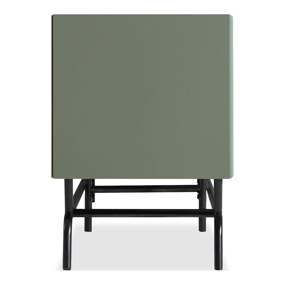 Haft Wood Multi-Storage TV Stand in Sage Green and Black
