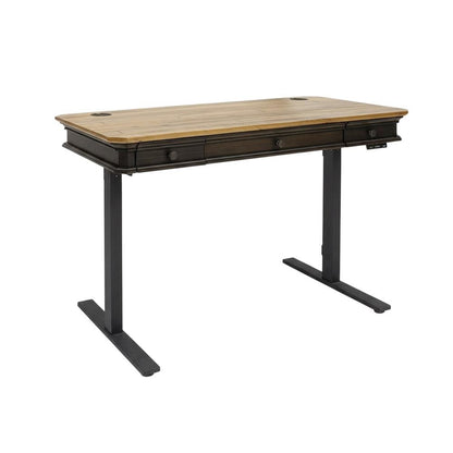 Executive Electric Sit/Stand Desk, Solid Plank Top, 4 Programable Heights, Brown