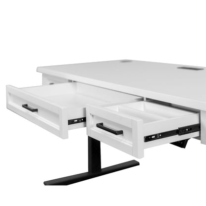 Abby Electric Sit/Stand Desk, Height Adustable