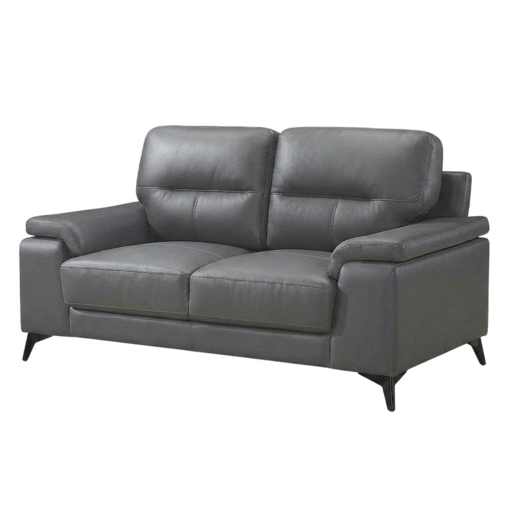 Mischa Leather Loveseat, Small Couch and Love Seat for Living Room, Dark Gray