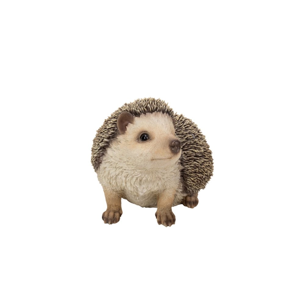Crawling Hedgehog