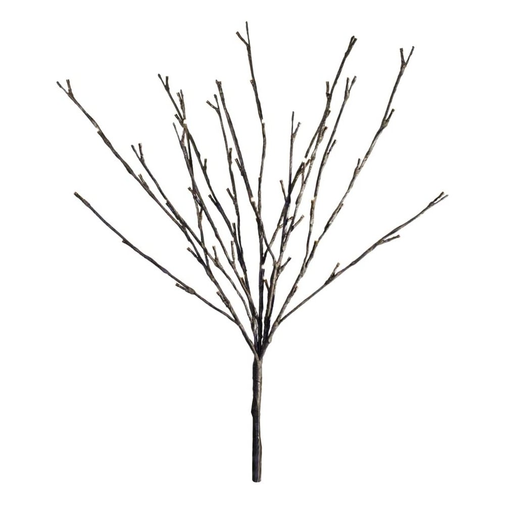 Willow Branch