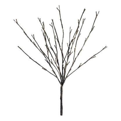 Willow Branch