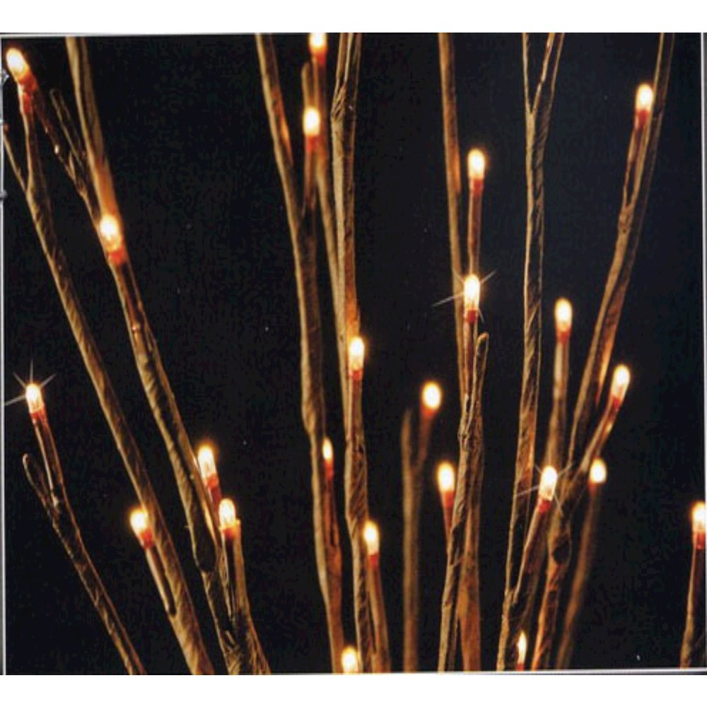 Willow Branch