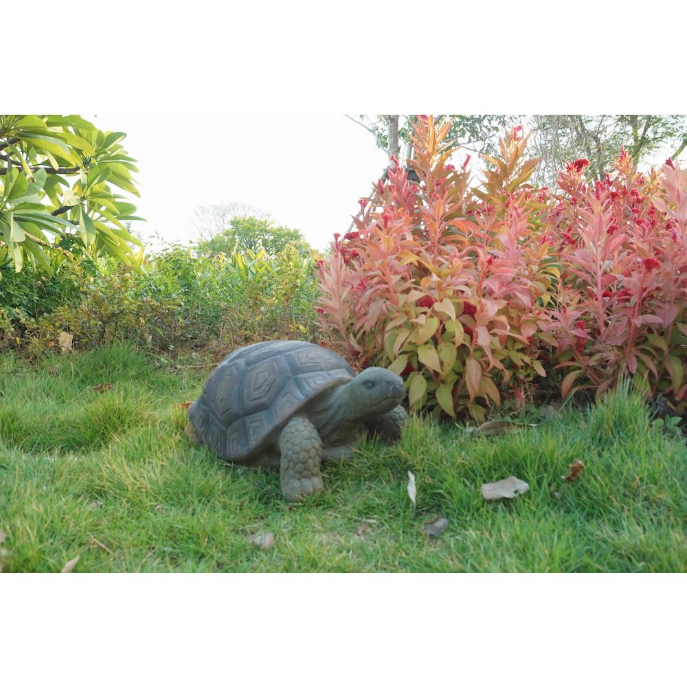 Turtle 21 Inch