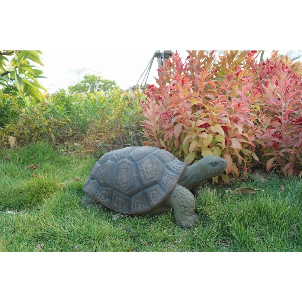 Turtle 21 Inch