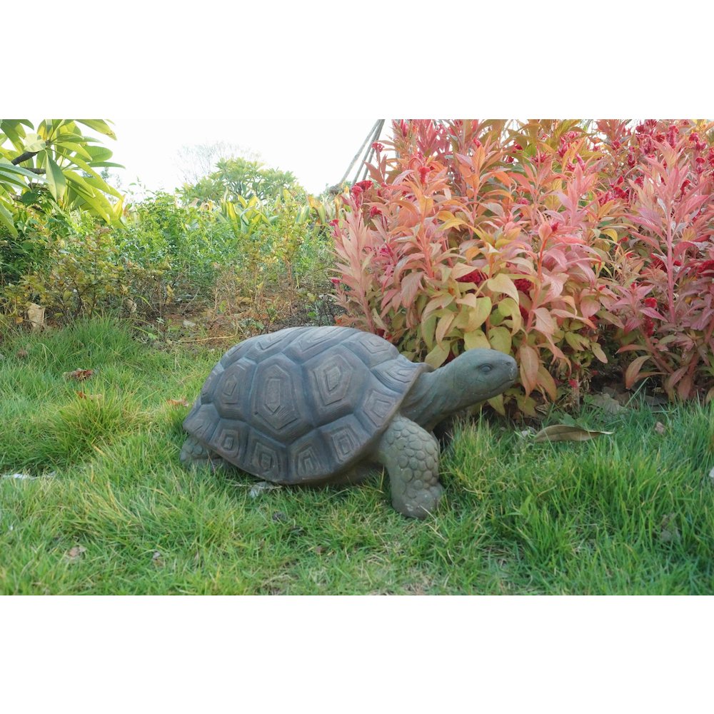 Turtle 21 Inch