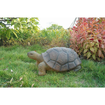 Turtle 21 Inch